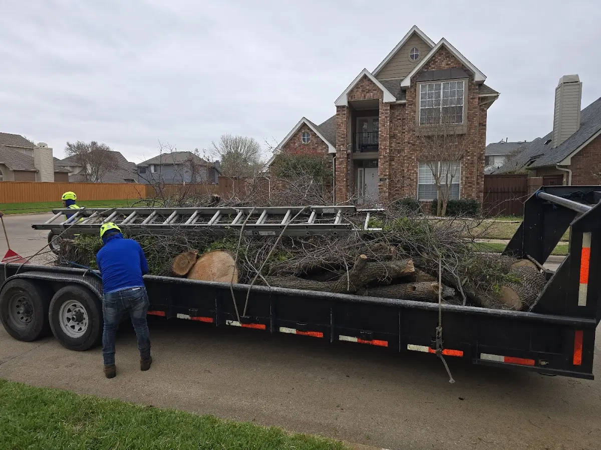 Expert Lot Clearing with proper safety equipment in Lake Station